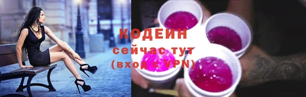 ECSTASY Богородицк