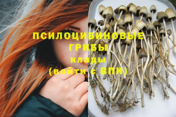 герыч Бородино